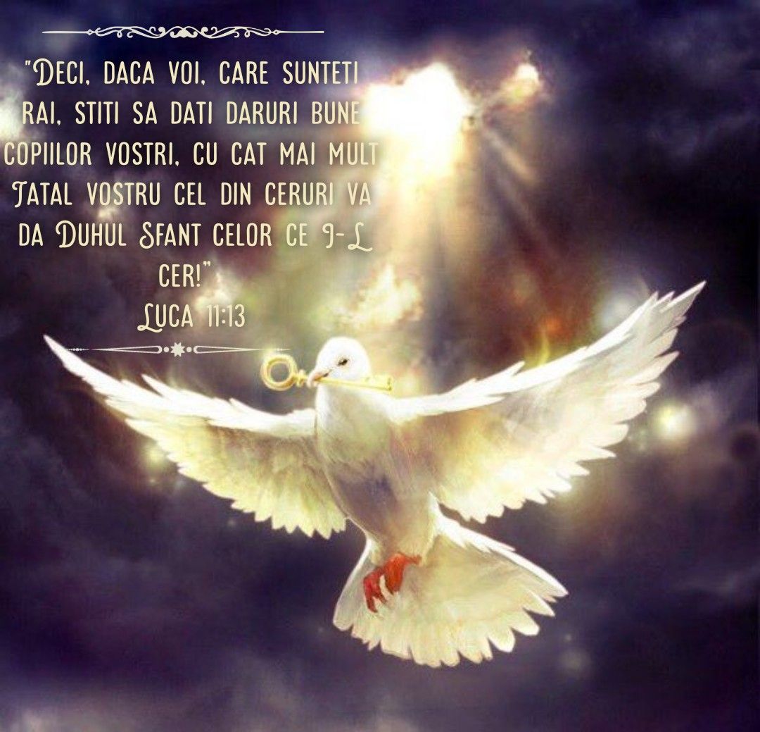 Album versete biblice 6